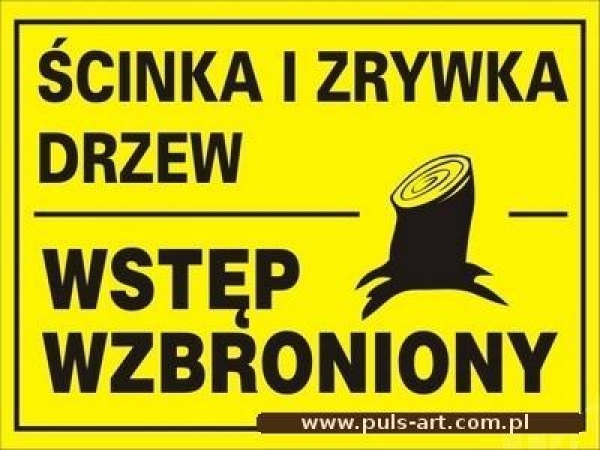 Wycinka drzew